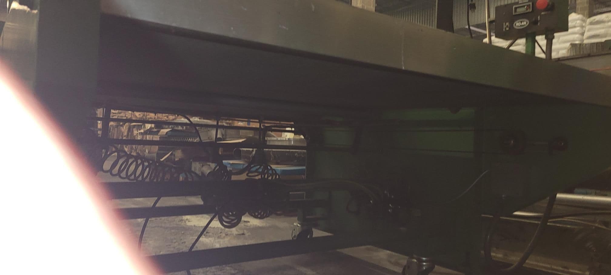 56" Wide Roan Conveyor