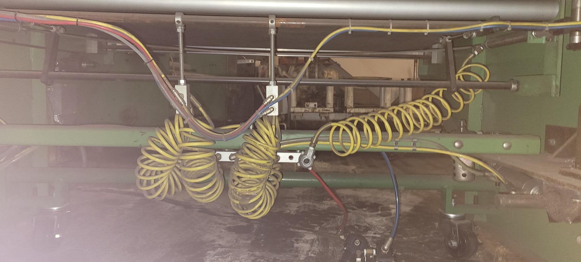 56" Wide Roan Conveyor